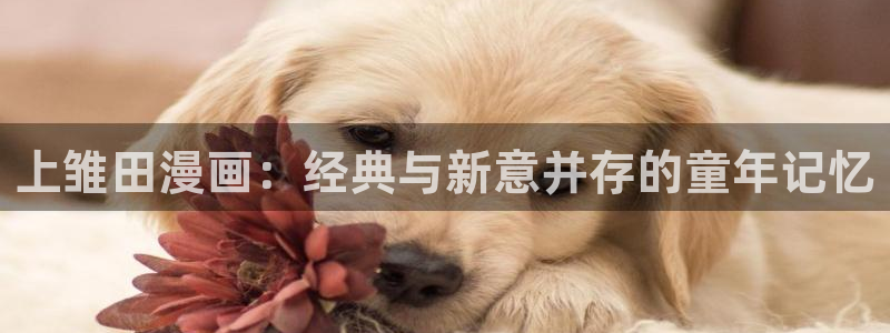 耽美漫画网站